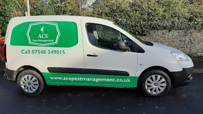 ACE Pest Management