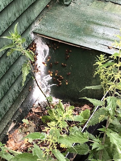 Bee Safe Pest Control