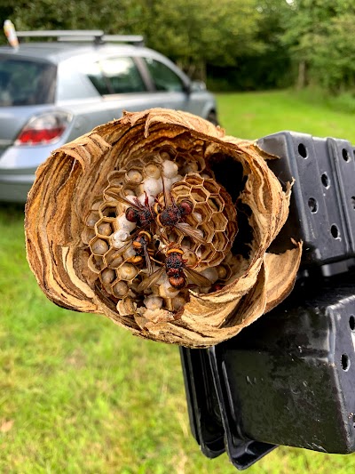 CW Pest and Environmental Services