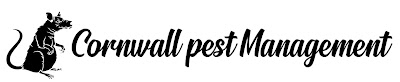 Cornwall Pest Management