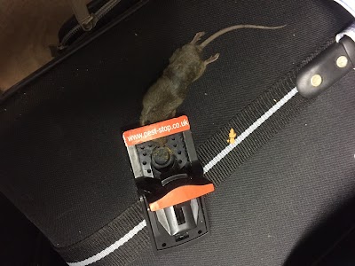 Day 2 Day Pest Control