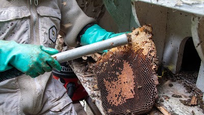 PGH Beegone Pest Control