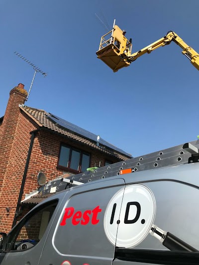 Pest ID Limited | Pest Control Services