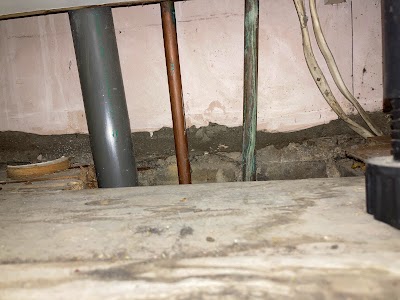 Pest Tec Crawley