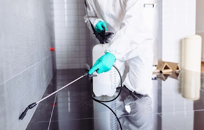 PreventiPest – Pest Control Cornwall