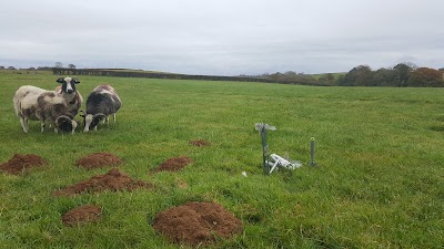 Taw Valley Pest Control
