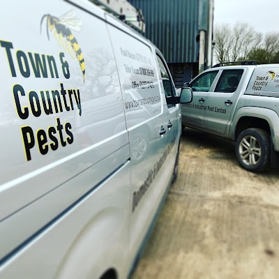 Town & Country Pests
