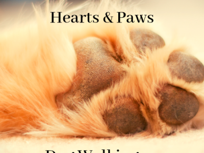 Heart & Paws Dog Walking