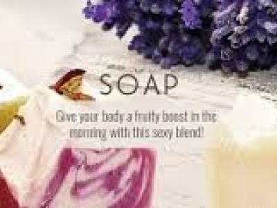 Soapynut Cosmetics